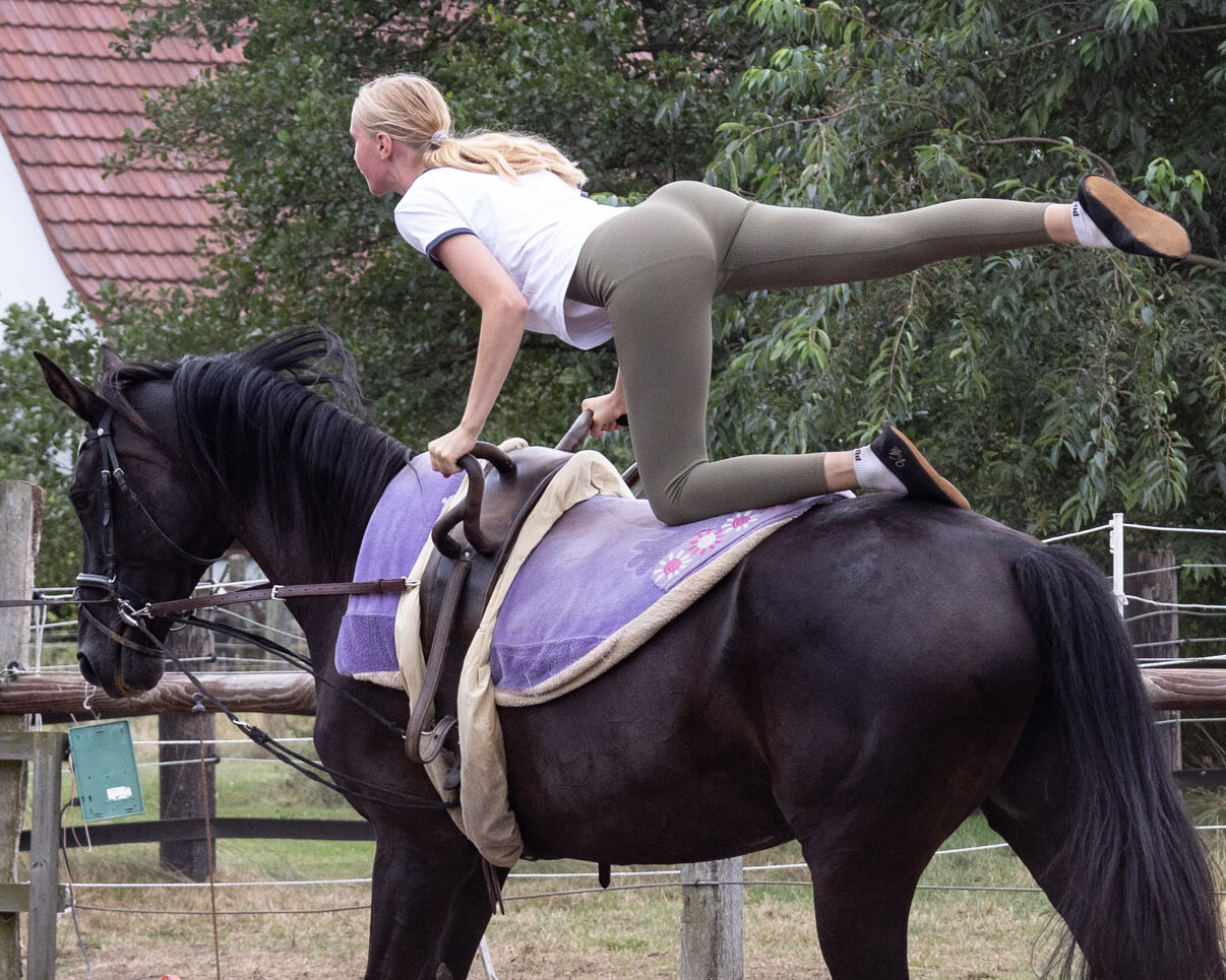 Voltigierer mit Pferd Fahne