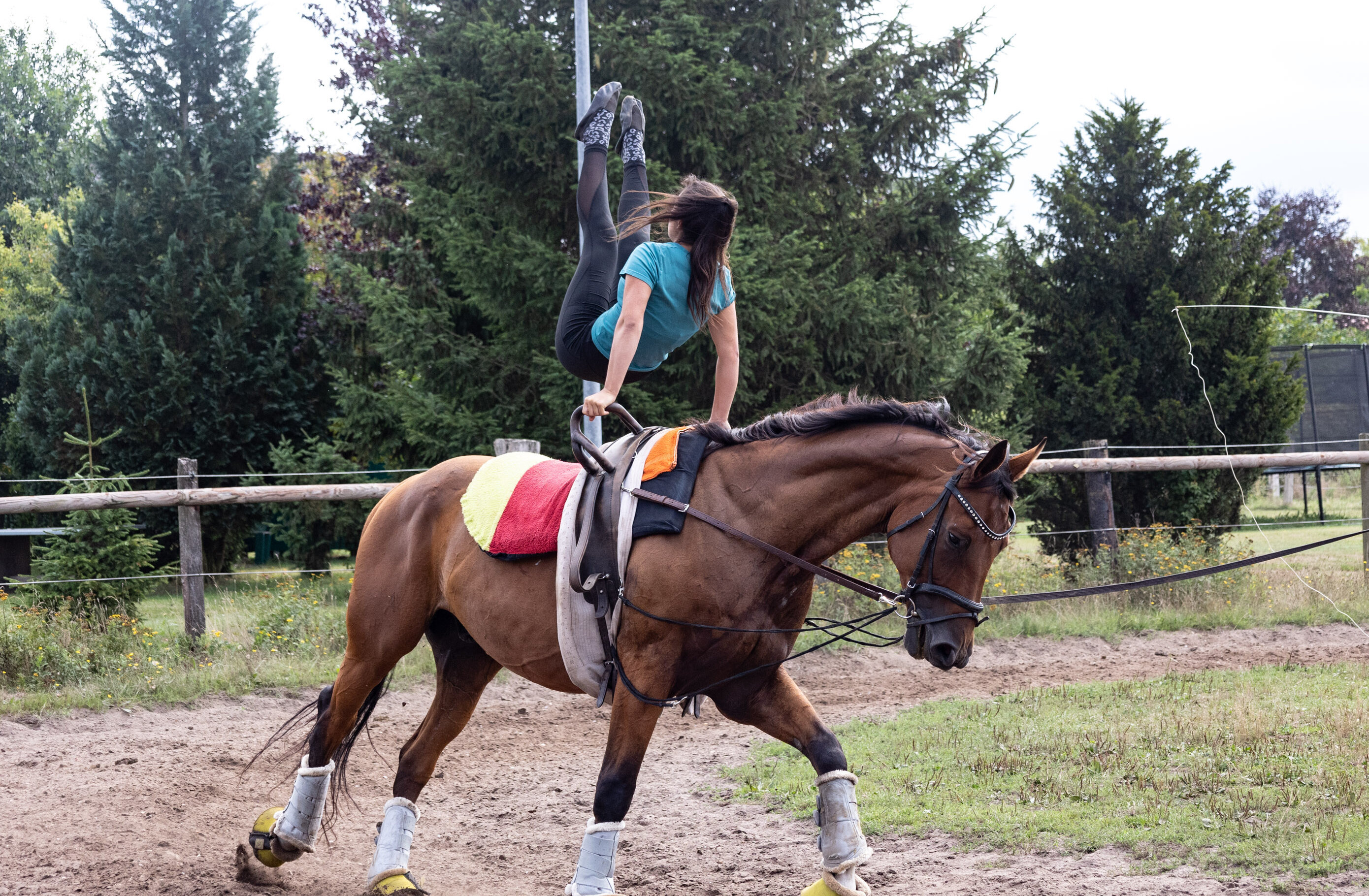 Voltigierer auf Pferd in Jesteburg